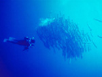 Deep sea diving in the islands, Papua New Guinea photo